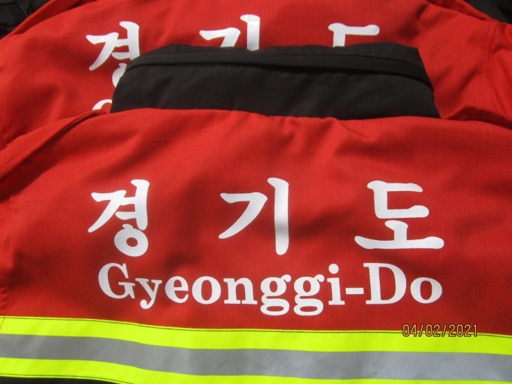 부여나염 이미지