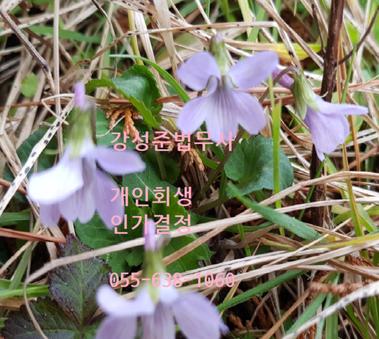 법무사강성준사무소 이미지