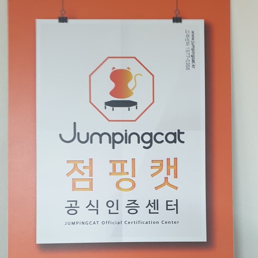 매일점핑 이미지