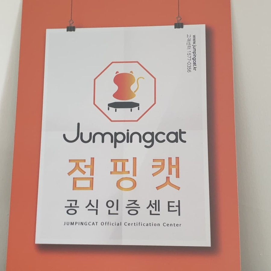 매일점핑 이미지