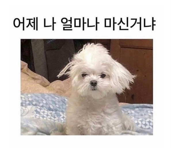 우리하숙 이미지