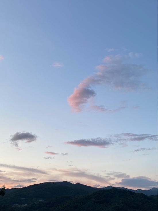 오버번 이미지