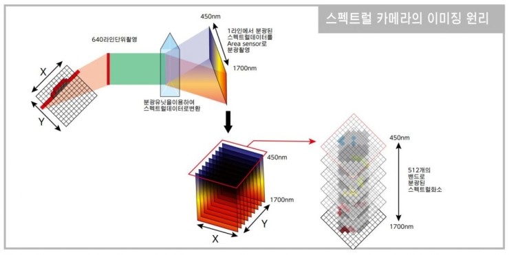 이에이에스 이미지