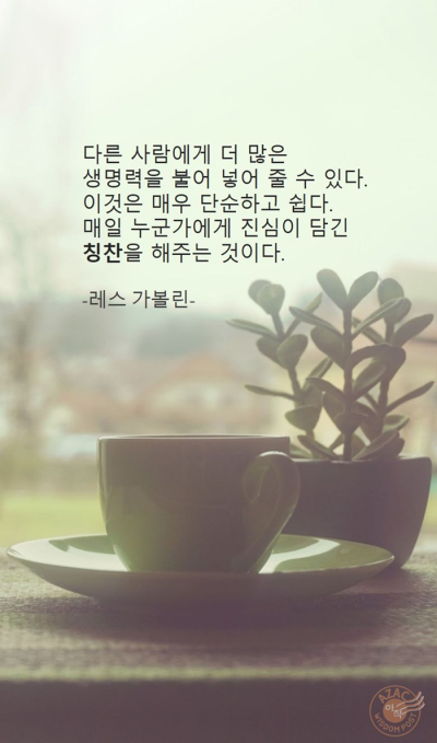 2-1.명언_댓글-13.png