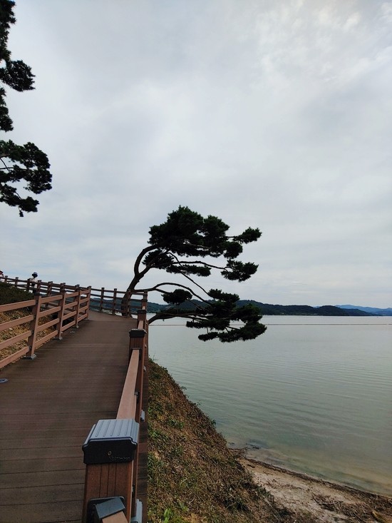 콧바람여행사 이미지