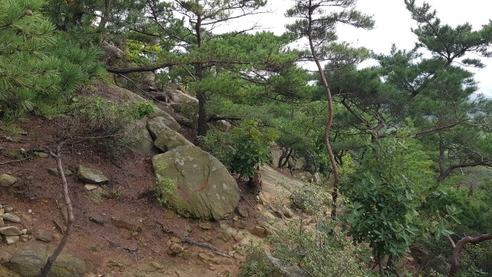 과천성당 이미지