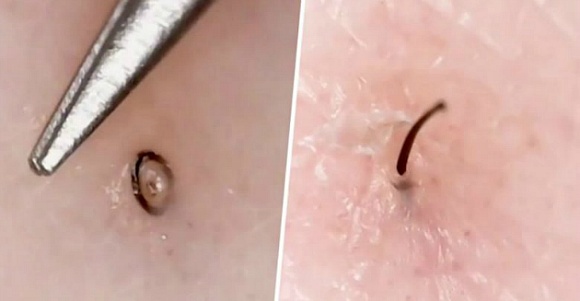 인더헤어 이미지