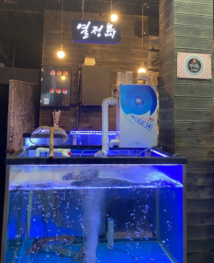 싱싱魚 이미지