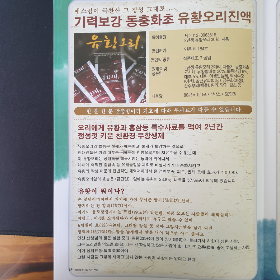 명인오리 이미지