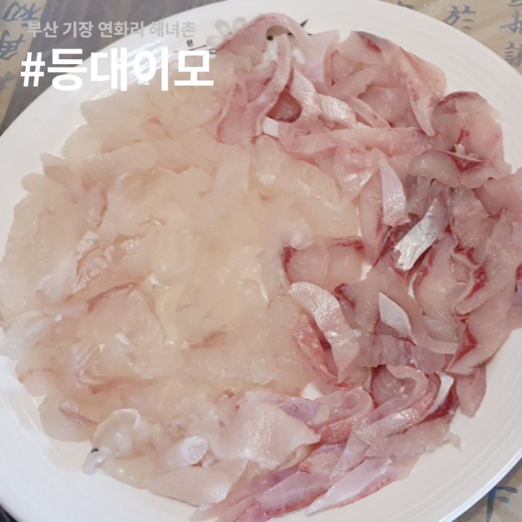 등대이모 이미지
