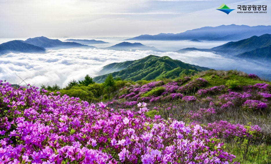 설악산 이미지