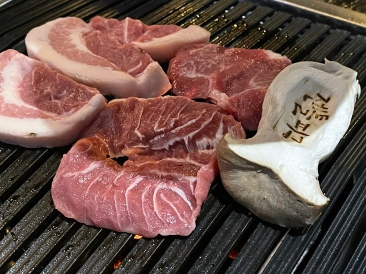 카페젠틀피그 이미지