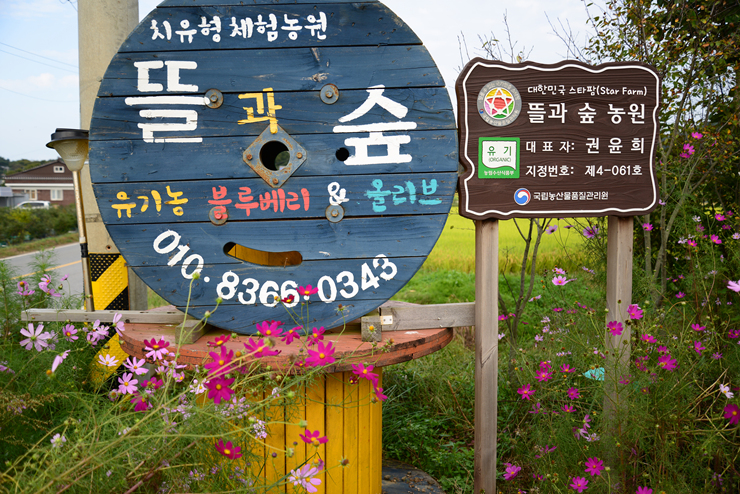 뜰과숲농원 이미지