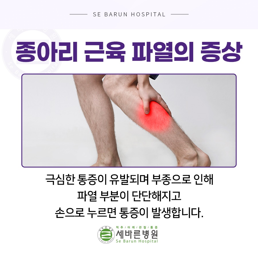 종아리 근육파열 근육통 차이점 : 네이버 블로그