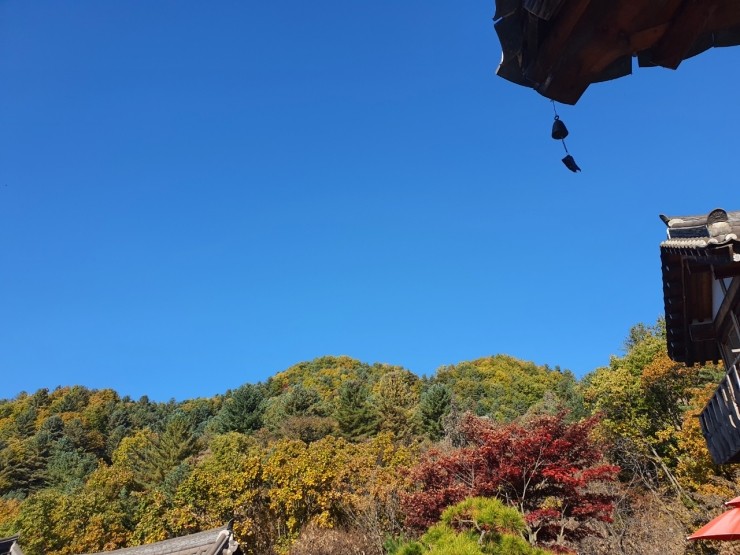 춘화원일동펜션 이미지