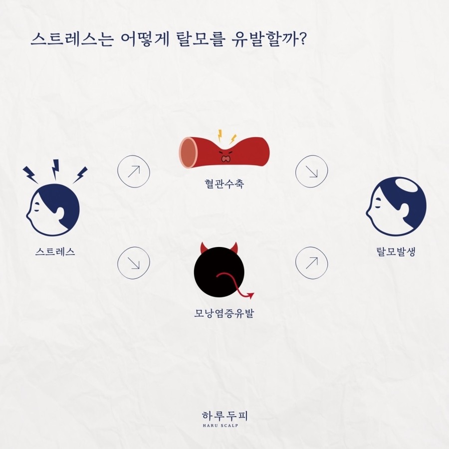 하루두피 대전유성점 이미지