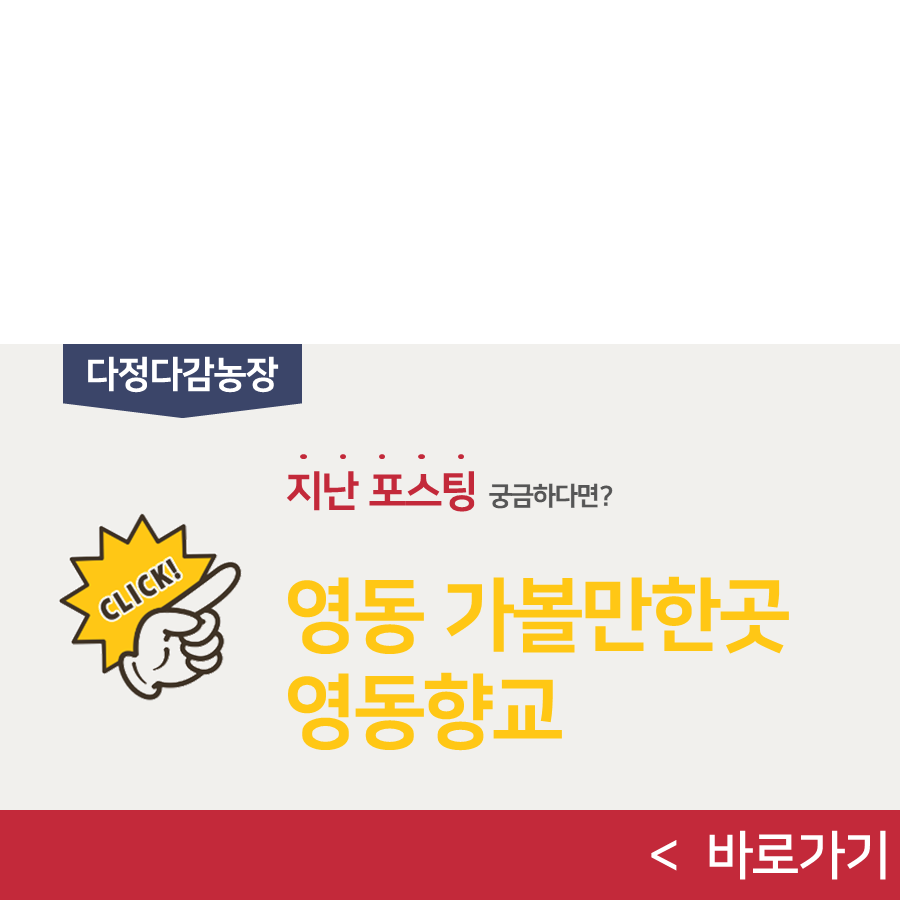 꿈담1945 이미지