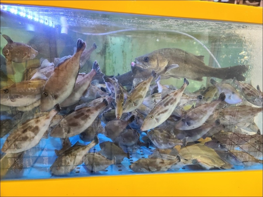 중앙상회 이미지