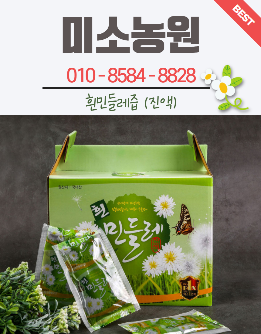 토종흰민들레식품 이미지