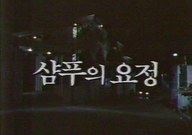 샴푸요정 이미지