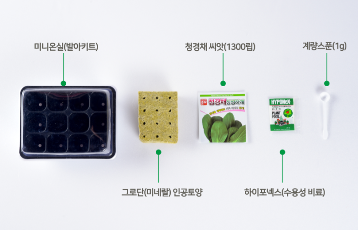 모던플랜츠 이미지