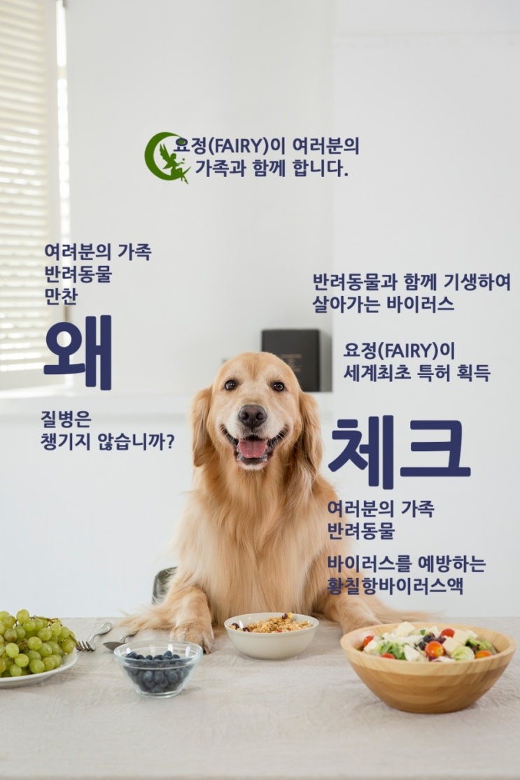 (주)네이처페어리 이미지
