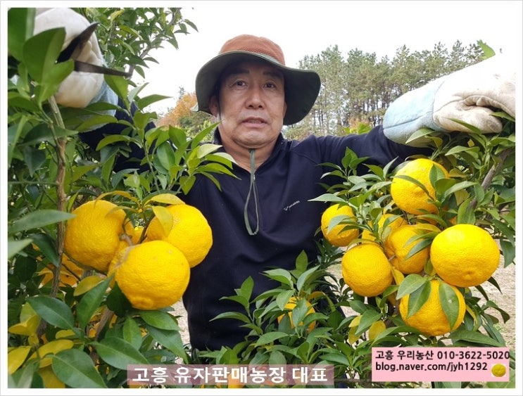 대교농산 이미지