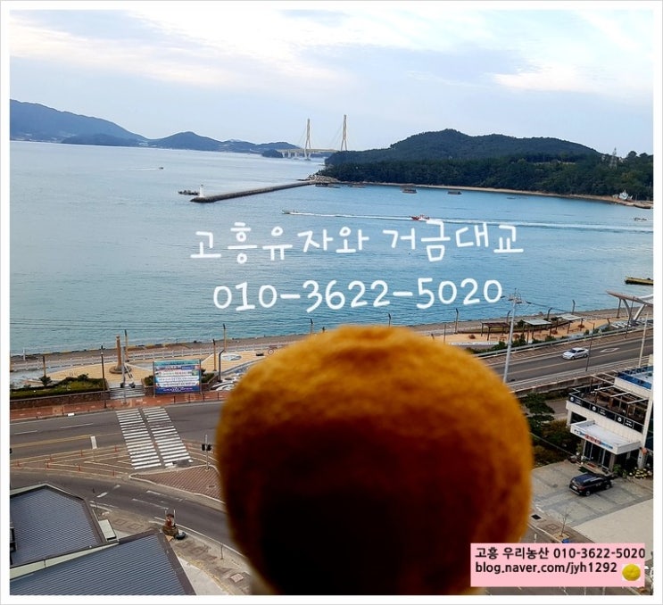 대교농산 이미지
