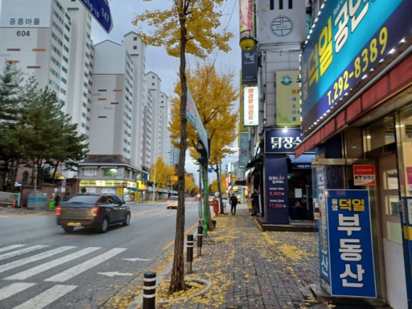 바롬 이미지