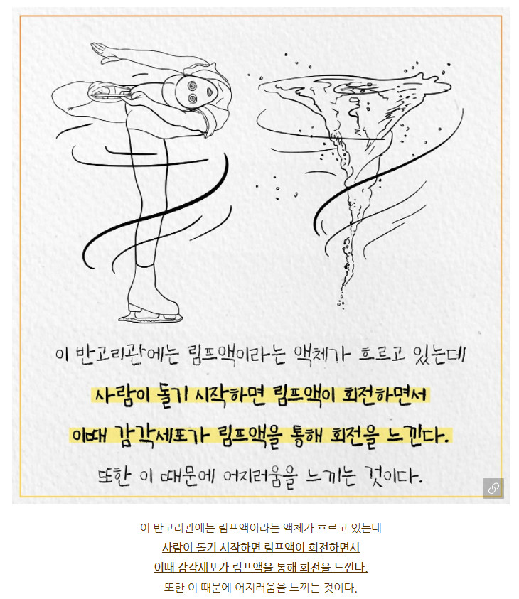안선수텔레콤 이미지