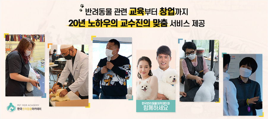 펫토그래퍼 이미지