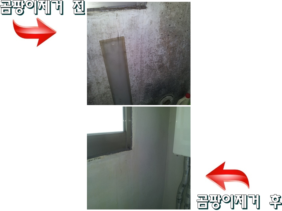 청소굿 이미지