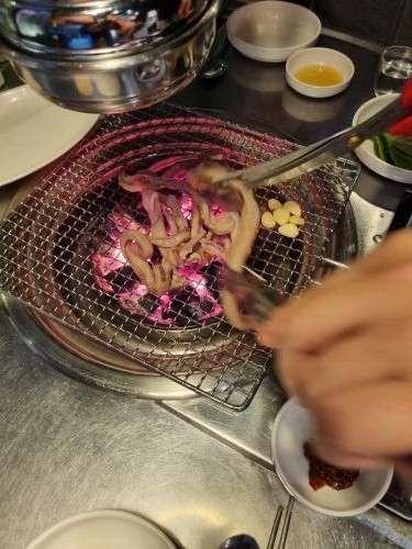 황가네꼼장어 이미지