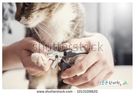 더조은경상 이미지