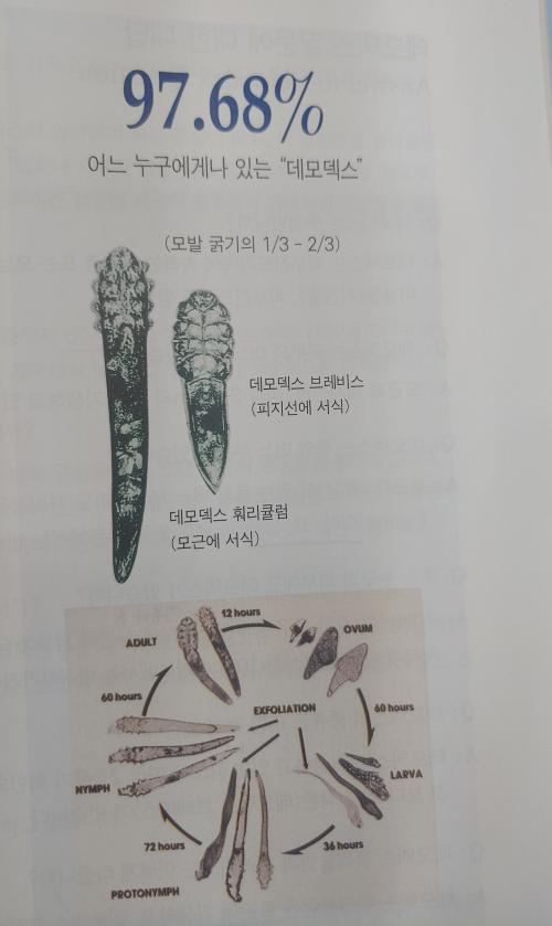 올가드림뷰티 이미지