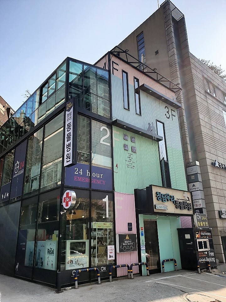 청담윤 이미지