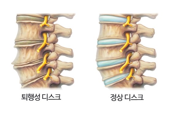 참편한마취통증의학과의원 이미지