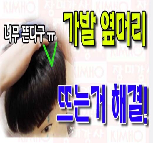 장미수선 이미지
