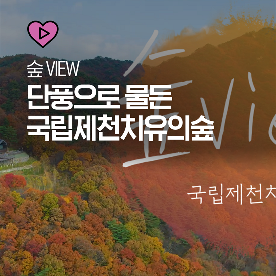 제천 치유의 숲 이미지