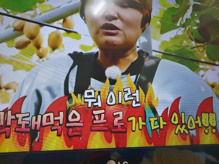 윤술 이미지