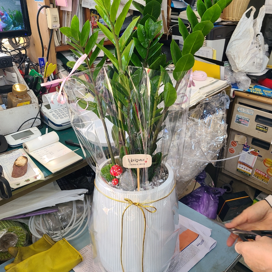강동꽃농원 이미지