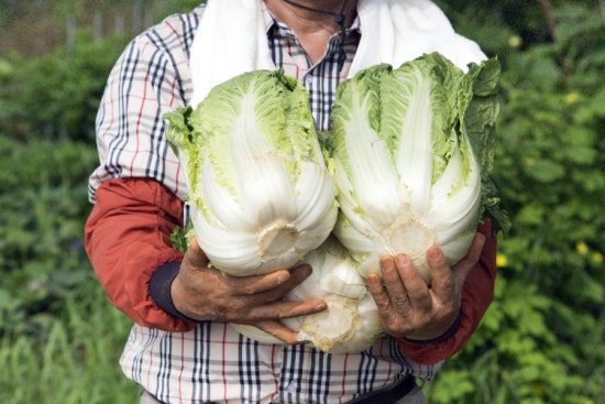 마켓프레고 이미지
