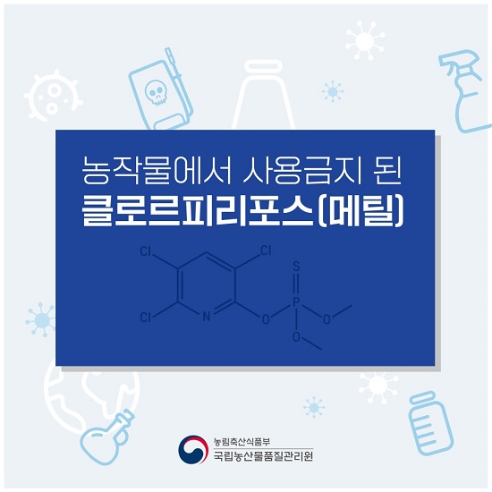 클로르 이미지