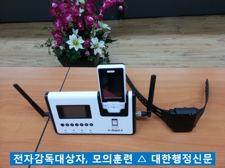 서부전자 이미지