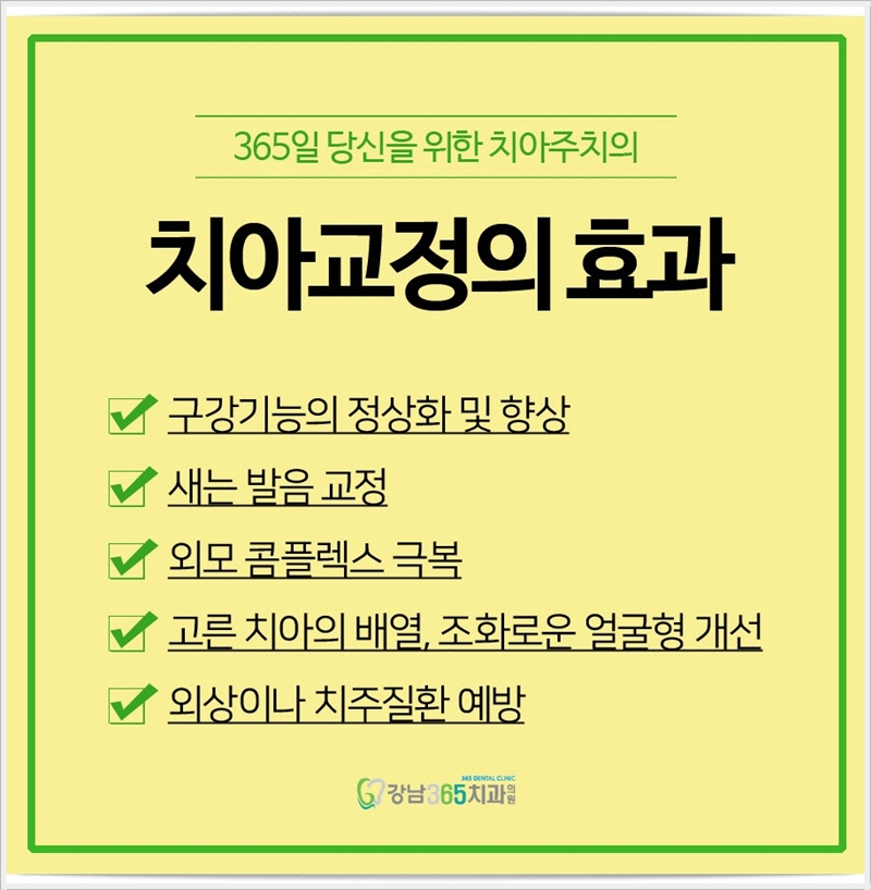 치아글로벌 이미지