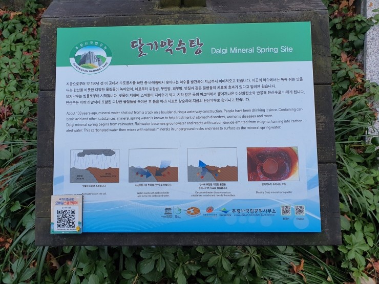 청송닭집 이미지