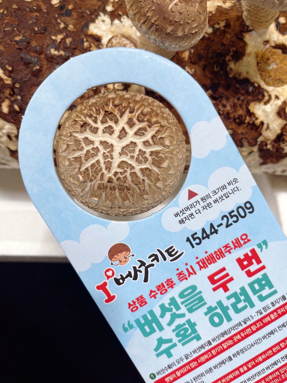 더채움마트 이미지