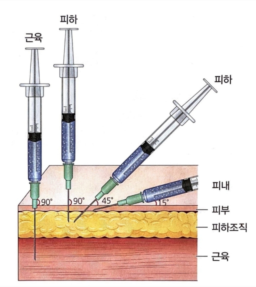 원주간호학원 이미지