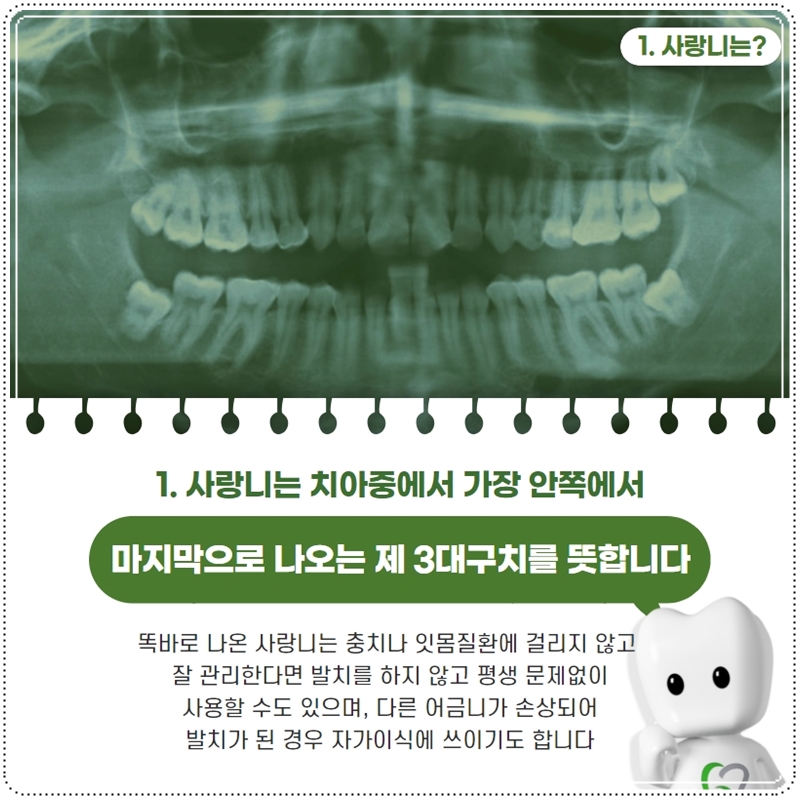 강남사랑니치과의원 이미지