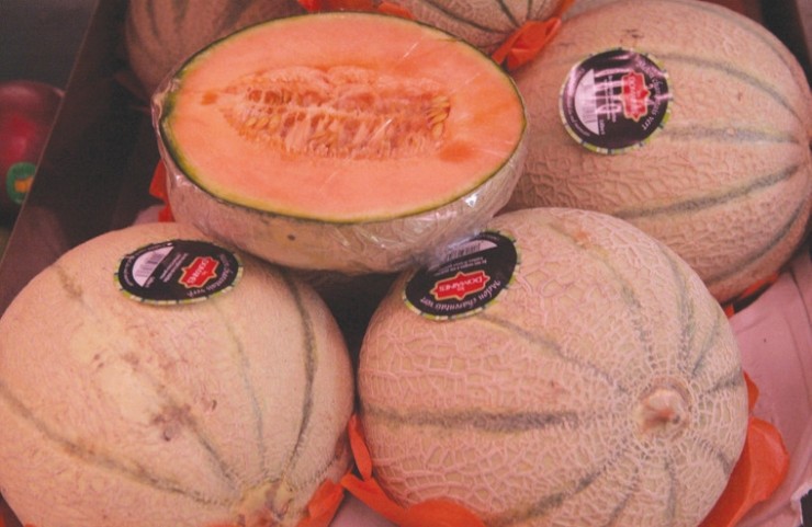 멜론2 이미지